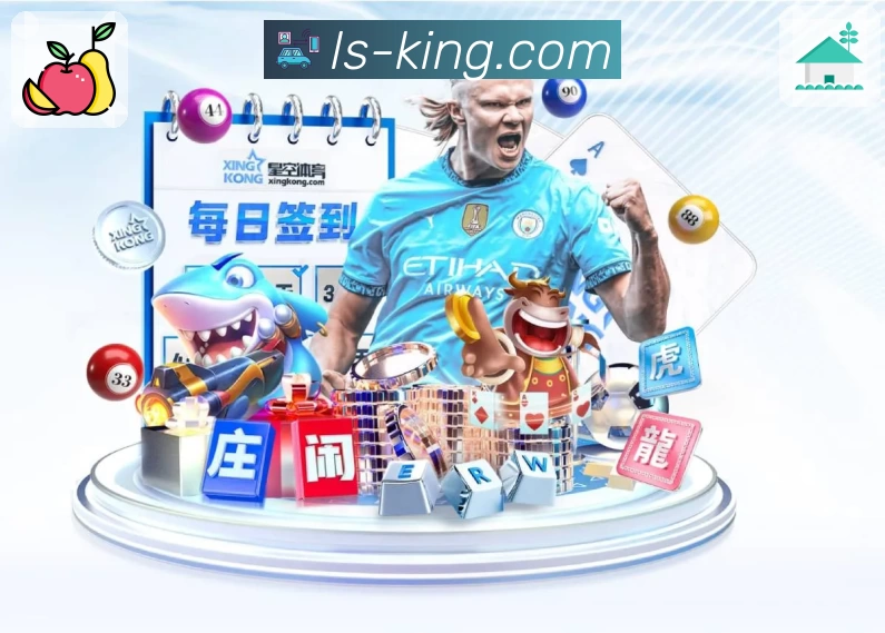 多媒体互动体验